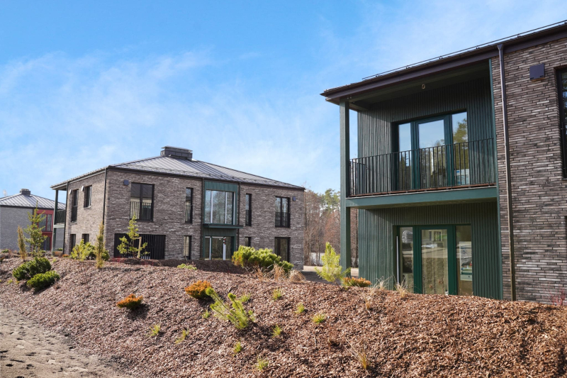 image image (75).jpg